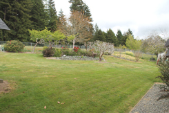 Side from trees